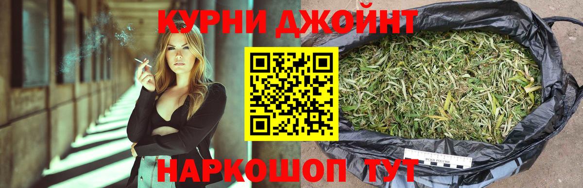 Каннабис OG Kush  Шишки марихуана семена  Знаменск  Вход с VPN  Бошки Шишки OG Kush 